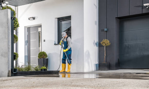 Boat and Dock Cleaning in Mountain Lake, MN